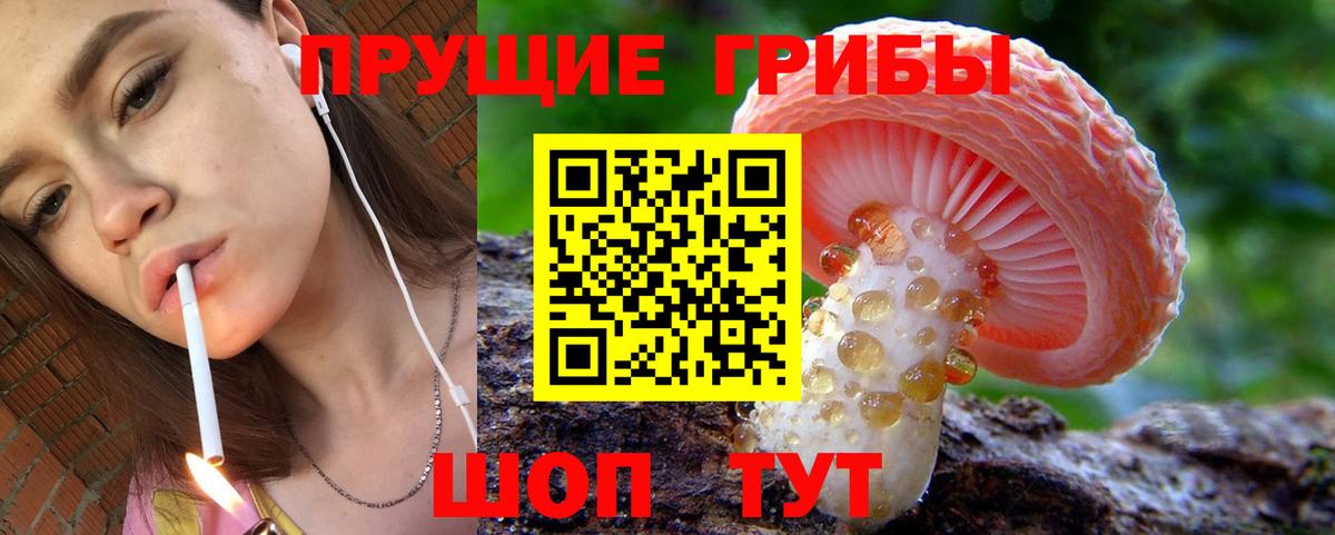 Павлово  Псилоцибиновые грибы мицелий  Вход с VPN 